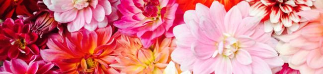ma♡kitchen's header image