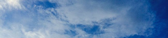 asamiʕ·ᴥ·ʔ's header image
