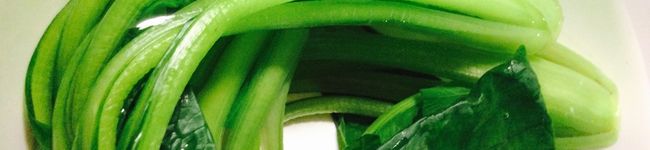 acconon's header image