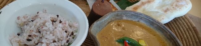 おいしいごはん大好き's header image