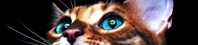 3232MAM's header image