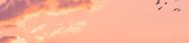 93kumi☆'s header image