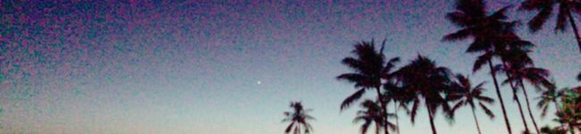 ✩じゅごん✩'s header image
