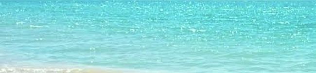 ♡haruton♡'s header image