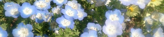 mi_co22's header image
