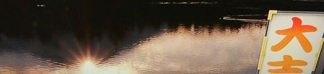 ノブさん45's header image