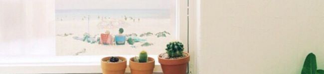 chanki's header image
