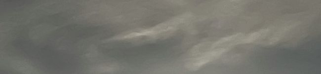 ♪もちむぎ♪'s header image