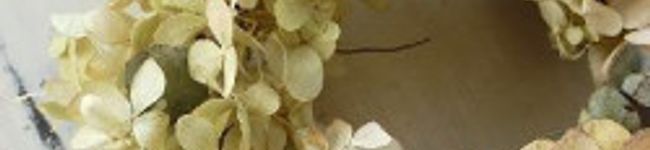 apple-kariri's header image