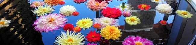 時花3V3♪'s header image