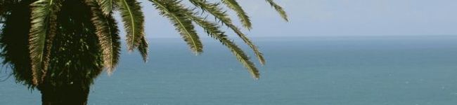 tommy4113's header image