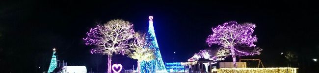ゆき☆coaster's header image
