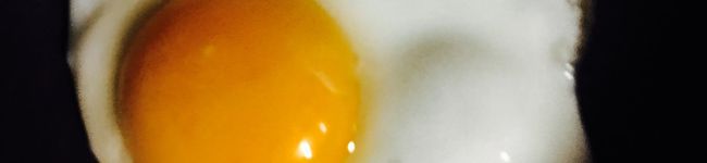 ごま姉弟の母's header image