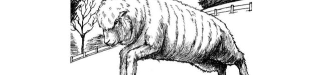 紅茶ひつじ's header image