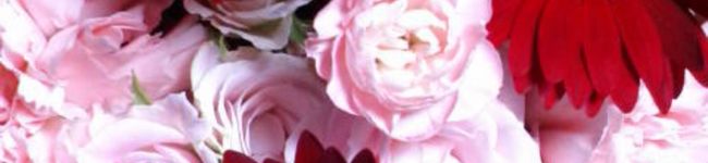 無法松子's header image