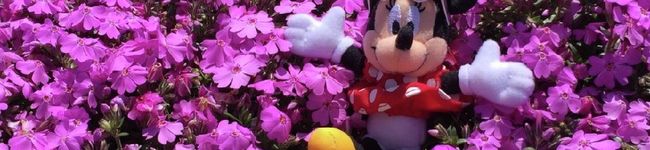 ゆう赤大好き♪♪'s header image