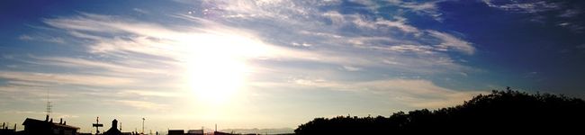 抹茶野郎's header image