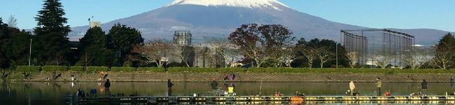 魚釣り大好き's header image