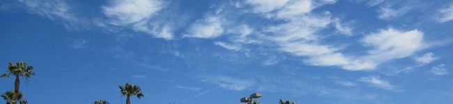 MegMeg21's header image