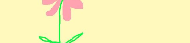 めぇちゃぁ's header image