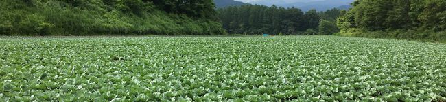普段着から's header image