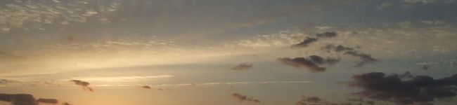 mikimayugt's header image