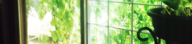 なぴぴぽ's header image