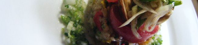 healthychicken's header image