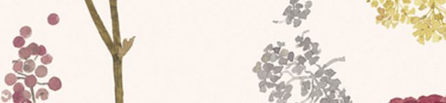 黒糖きなこわらび餅's header image