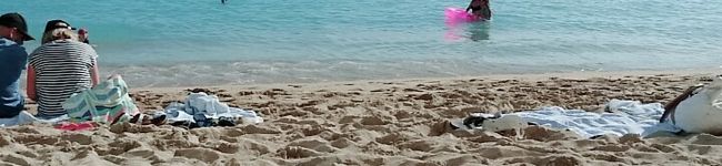 クック0O5U5Y☆'s header image