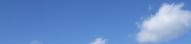 waka+'s header image