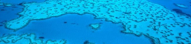 テル©️'s header image