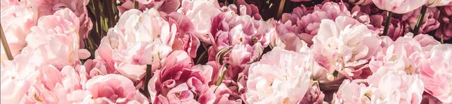 kooklove's header image