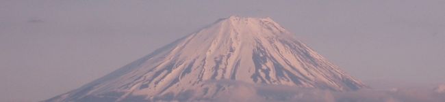 たいこうﾊﾟﾊﾟ's header image