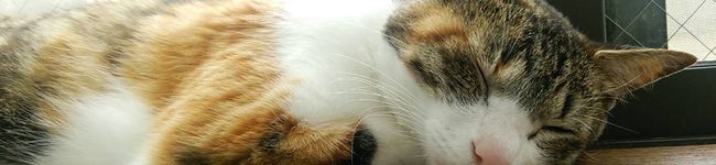 kaelu_72's header image