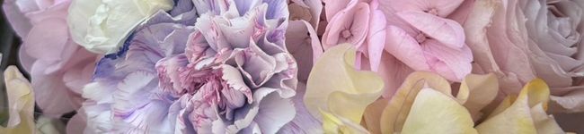 クックIMYK★'s header image