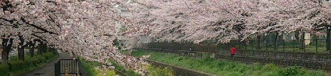 うちだひろし's header image
