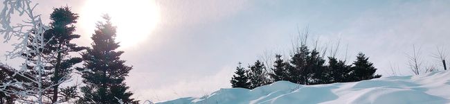 ねこぢるうどん's header image
