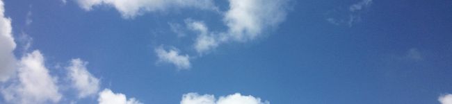 石川五右衛子's header image