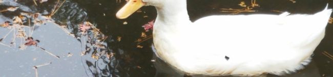 クックDUL9C7☆'s header image