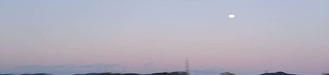 しろくまナッツ's header image