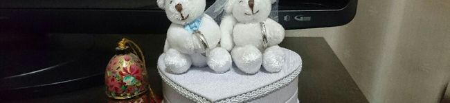 toto1005's header image