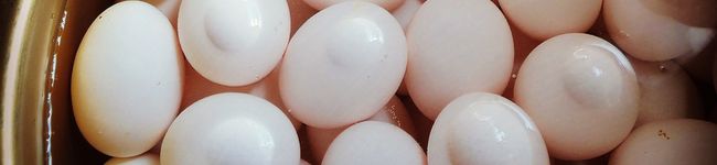 寒川のたまご屋さん's header image