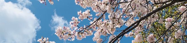 アキョウ1217's header image