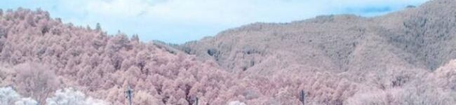 Ryu_baby♡'s header image