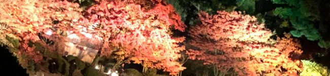 SA☆GI☆RI's header image