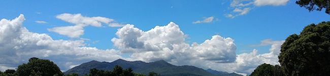 IrishCook's header image