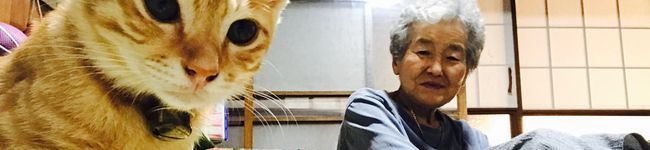 佐藤さんちのご飯's header image