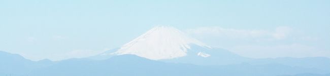 三浦市農業協同組合's header image