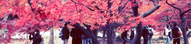 みずしま129's header image